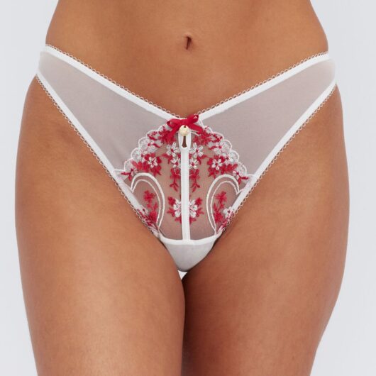 Boux Avenue Lisette embroidered thong - White Mix - 16